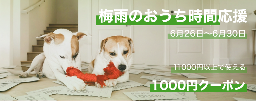 《梅雨のおうち時間応援》1000円クーポンプレゼント！6月30日(火)23:59まで