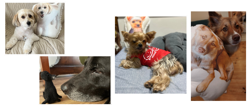 第二回手紙コンテスト 受賞者のコメントをレポート！