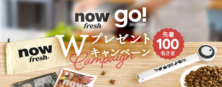 1000ポイント全員プレゼント