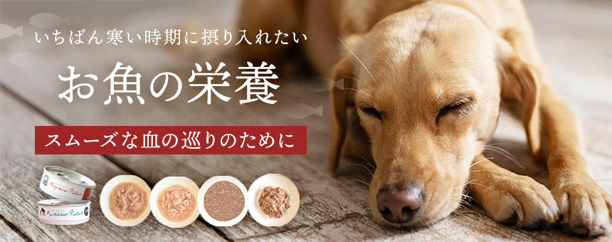 【完売】《季節のお買い得》いちばん寒い時期に摂り入れたいお魚の栄養～お魚レトルトセット～