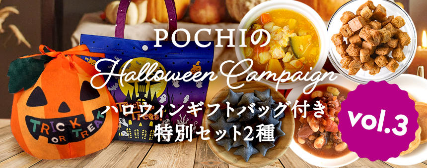 《※完売》《POCHIのハロウィン2025第3弾》ハロウィンギフトバッグ付き特別セット2種のご紹介