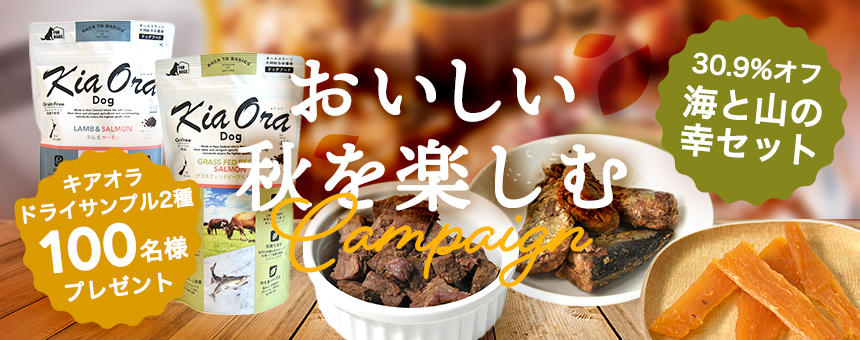 《おいしい秋を楽しむ》海と山の幸セット＆キアオラドライお試し2種先着100名様プレゼント