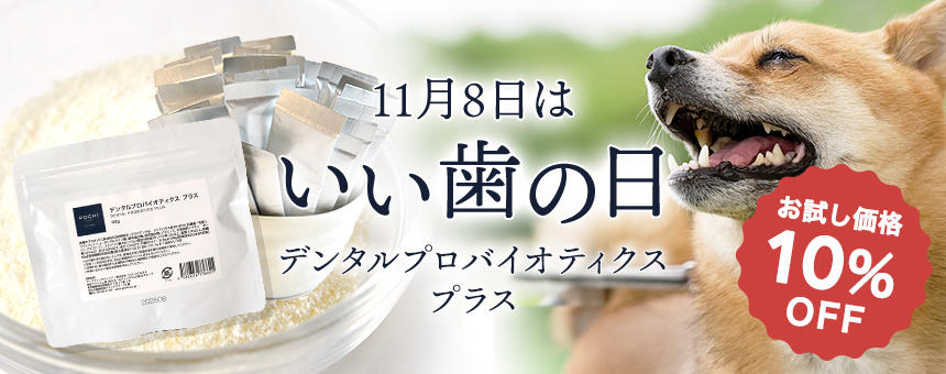 《11月8日はいい歯の日》デンタルプロバイオティクス プラスお試し10％オフ！