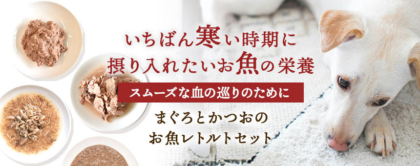 《季節のお買い得》いちばん寒い時期に摂り入れたいお魚の栄養～お魚レトルトセット～