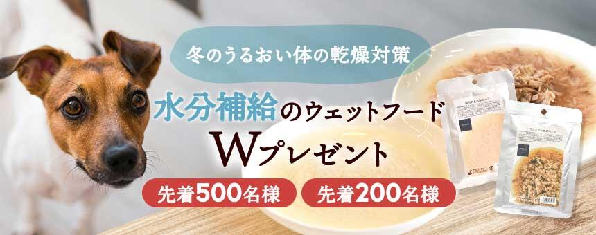《冬のうるおい乾燥対策》水分補給のウェットフードWプレゼントキャンペーン
