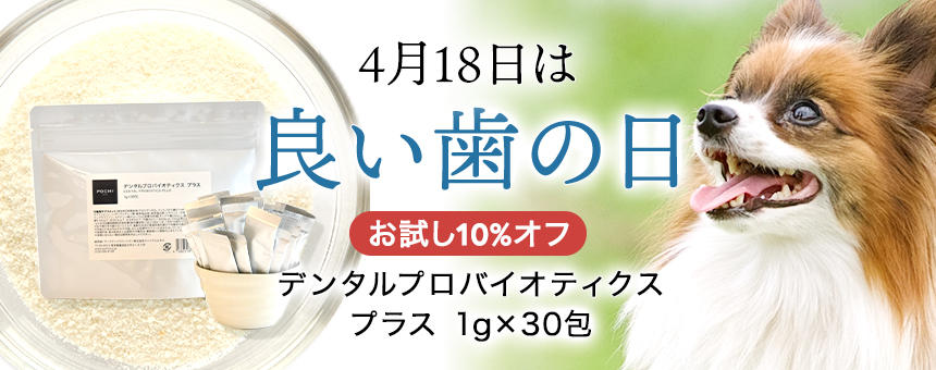 4月18日は「良い歯の日」！歯みがき応援「デンタルプロバイオティクス プラス」お試し10％オフセール