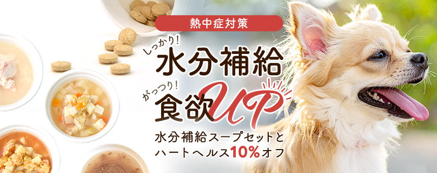 《熱中症対策 》しっかり水分補給しながらがっつり食欲アップ！水分補給スープセット＆心臓ケアサプリ10％オフ