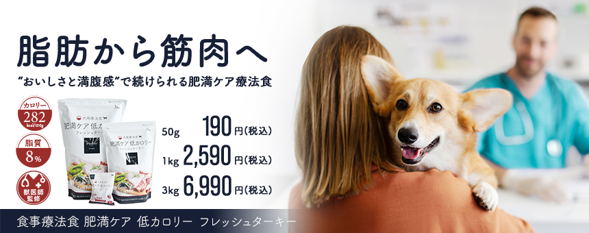 肥満ケア療法食
