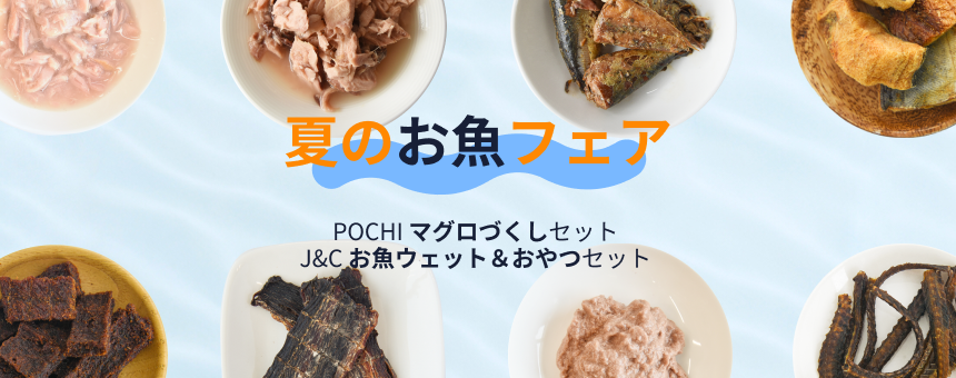夏のお魚フェア