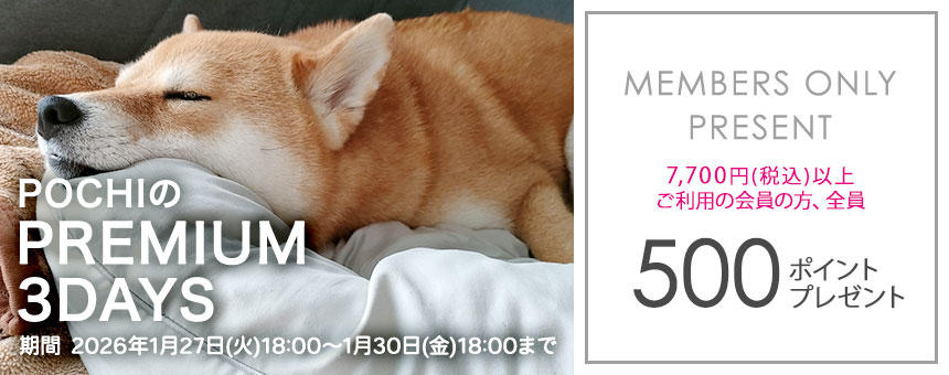 500ポイントプレゼント