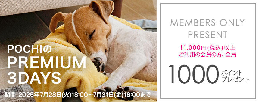 1000ポイントプレゼント