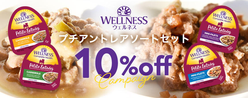 《ウェルネス》プチアントレアソートセット10％オフキャンペーン開催！
