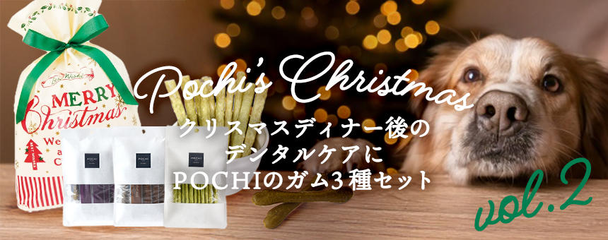 《ポチのクリスマス2025 第2弾》クリスマスディナー後のデンタルケアに、ガム3種セットのご紹介