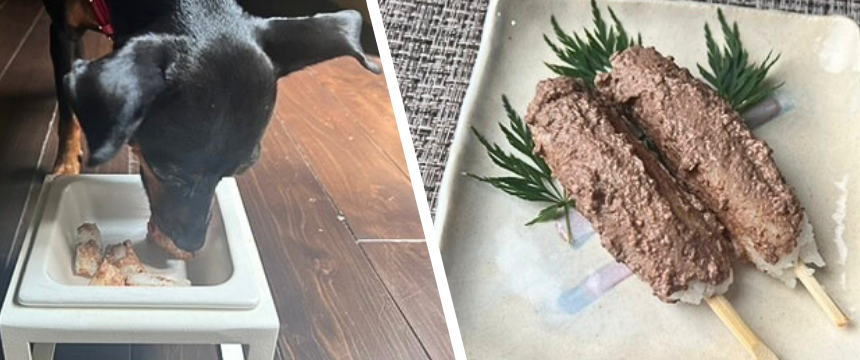 初めてでも安心！犬が喜ぶ手作りごはんレシピ ＃非常食アレンジのきりたんぽ