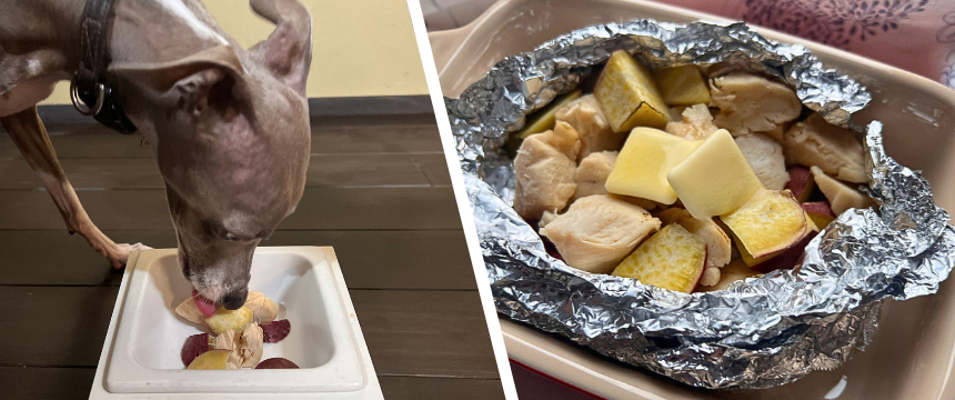 初めてでも安心！犬が喜ぶ手作りごはんレシピ ＃ささみとさつまいものホクホクホイル焼き
