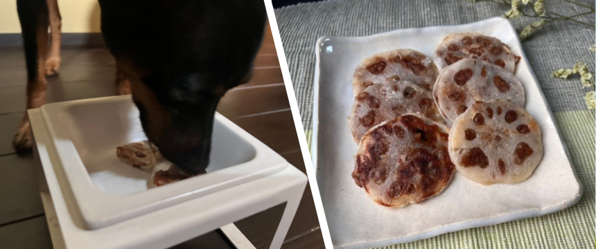 初めてでも安心！犬が喜ぶ手作りごはんレシピ ＃れんこんのはさみ揚げ風