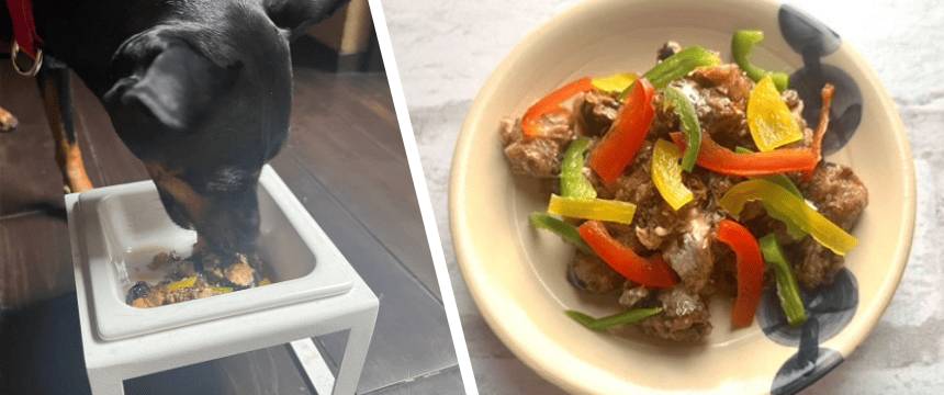 初めてでも安心！犬が喜ぶ手作りごはんレシピ ＃鬼除けのイワシで酸っぱくない南蛮漬け