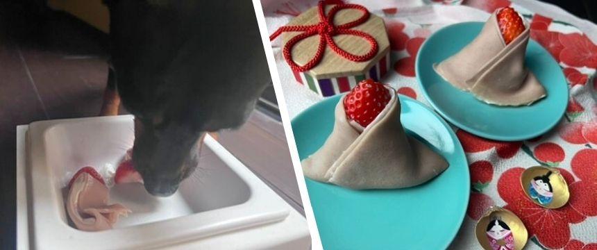 犬と楽しむ！ひな祭りの華やかレシピ ＃ヤギミルクで作るお雛さまクレープ