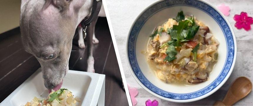 犬と楽しむ！旬のカブを使った