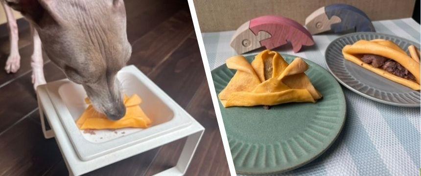 犬と楽しむ端午の節句！お祝いレシピ ＃馬肉入り卵焼きカブト