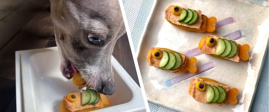 犬と楽しむ端午の節句！お祝いレシピ ＃マッシュかぼちゃとささみの鯉のぼり