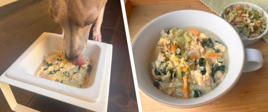 プラスワンでアレンジ色々！乾燥野菜活用レシピ特集 ＃かつおと野菜の栄養満点スープ