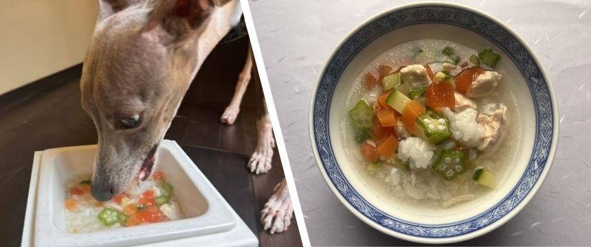 梅雨時期の対策レシピ！ ＃さっぱり冷し雑炊でどんより食欲不振対策
