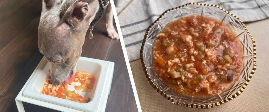 「夏のさっぱり！POCHIリメイクレシピ」具だくさんとろっとガスパチョ風