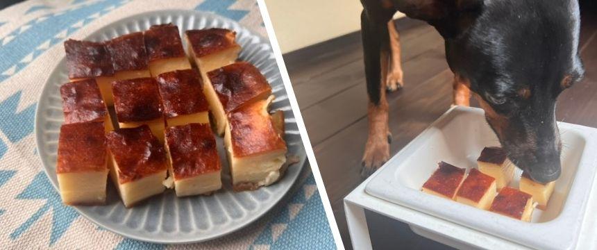 「POCHI おかわりアレンジレシピ！夏編」腹持ちアップのひんやりチーズケーキ