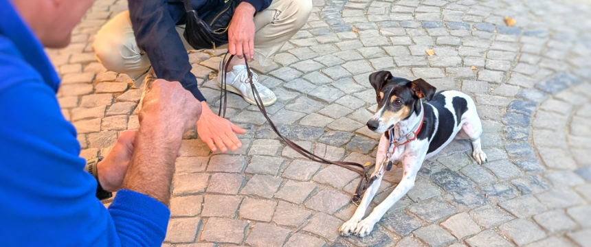 おやつのためには、店員さんの「待て」や「お座り」のコマンドも聞きます。