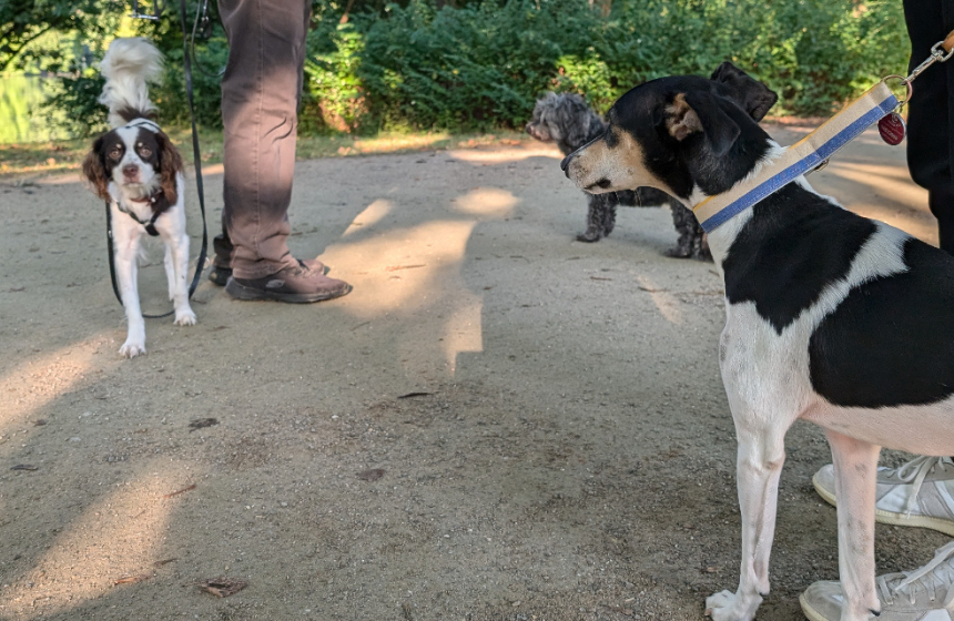 そのうち、友達ができるといいのですけれど。