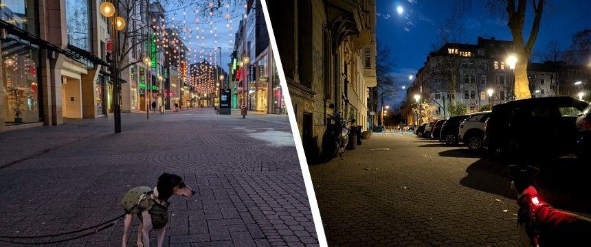 ドイツの街角から～日照時間の短い冬の散歩風景～