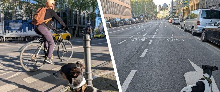ドイツの街角から～ドイツの最新道路事情について～