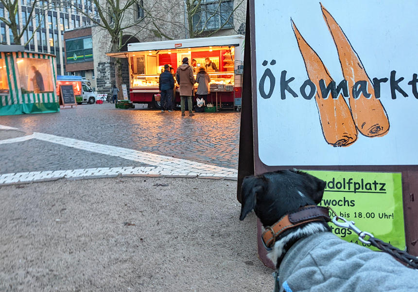 Bio専門のマルクト。一般のマルクトよりも店舗数は少ないものの、野菜やチーズ、パン、精肉などを売る店が出店しています。