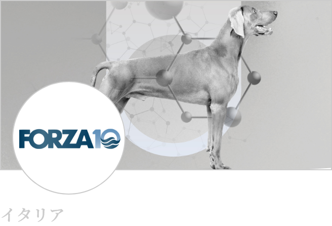 Forza 10(フォルツァ10)