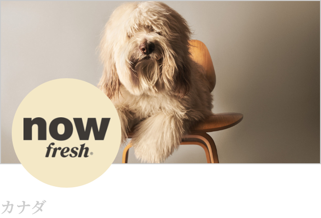 NOW Fresh(ナウフレッシュ)
