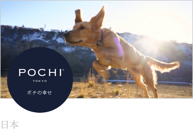 POCHI(ポチの幸せ)