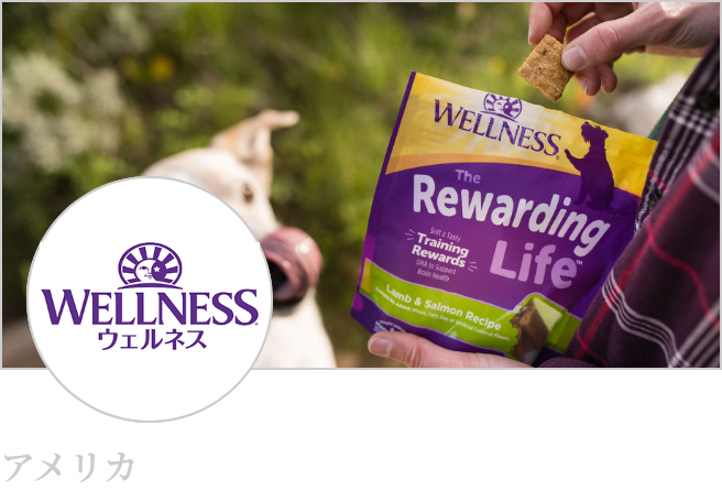 WELLNESS(ウェルネス)