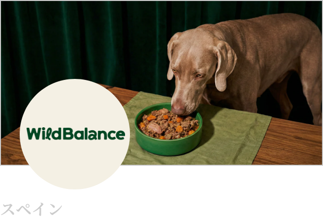 WILD BALANCE(ワイルドバランス)