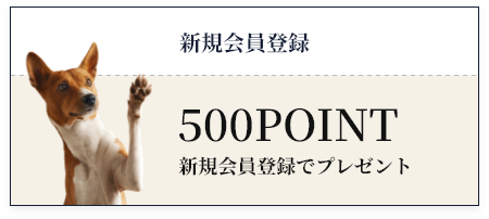 新規会員登録で500pointプレゼント