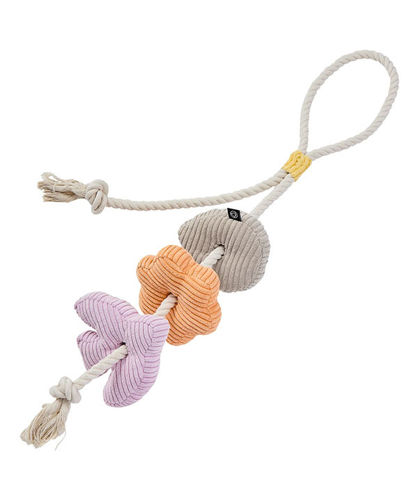 FAD【数量限定品】デンタルトイ コーデュロイトイ ロープ バード