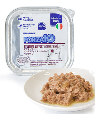 フォルツァ10 DOG アクティウェット インテスティナル 100g