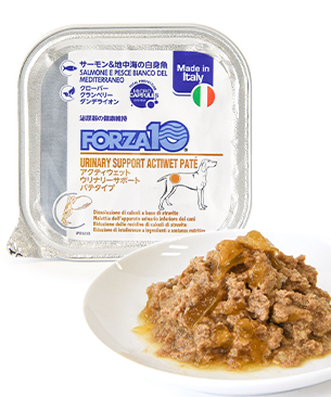 フォルツァ10 DOG アクティウェット ウリナリー 100g