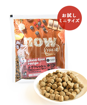 ナウフレッシュ DOG グレインフリー フィッシュアダルト お試しミニサイズ