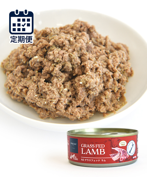 POCHI【定期便】総合栄養食 ウェット NZ グラスフェッドラム 80g×10