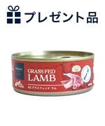 POCHI 総合栄養食 ウェット NZ グラスフェッドラム 80g プレゼント品