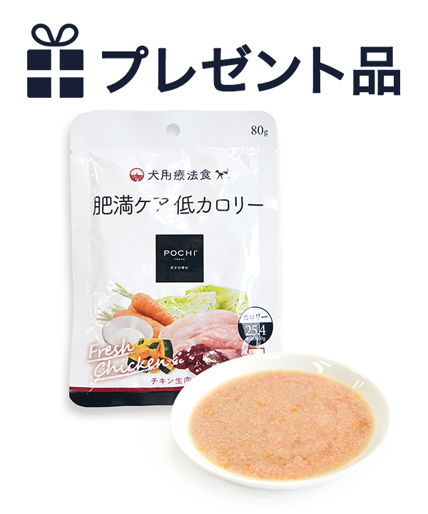 POCHI 食事療法食 ウェット 肥満ケア 低カロリー チキン 80g　プレゼント品
