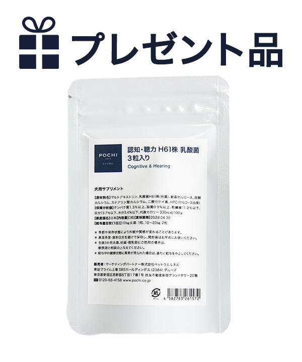 POCHI 認知・聴力 H61株 乳酸菌 3粒 プレゼント品