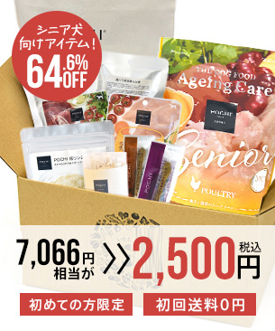 POCHI 初回限定 はじめてボックス シニア