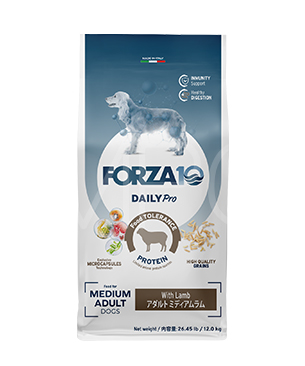 フォルツァ10 DOG デイリープロ アダルト ミディアム ラム 12kg